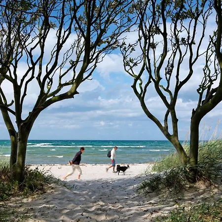 Gollwitzer Park Buchennest *