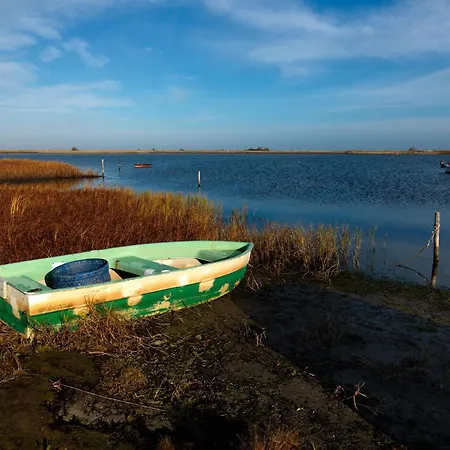 Apartment Gollwitzer Park Buchennest *