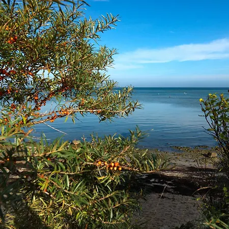 Gollwitzer Park Buchennest Poel