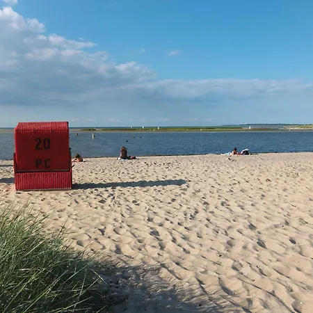 Gollwitzer Park Buchennest